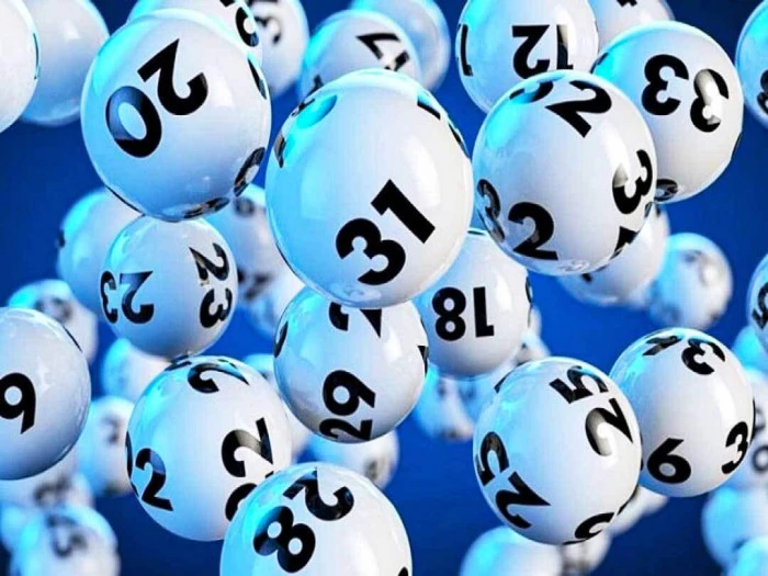 Khám Phá Thế Giới Đá Gà 88 Và Soi Kèo Xổ Số Trực Tiếp