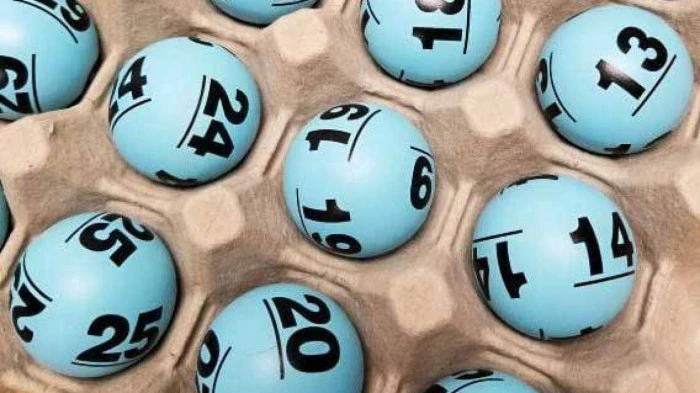 Khám Phá Thế Giới Đá Gà 88 và Những Dịch Vụ Đặc Biệt